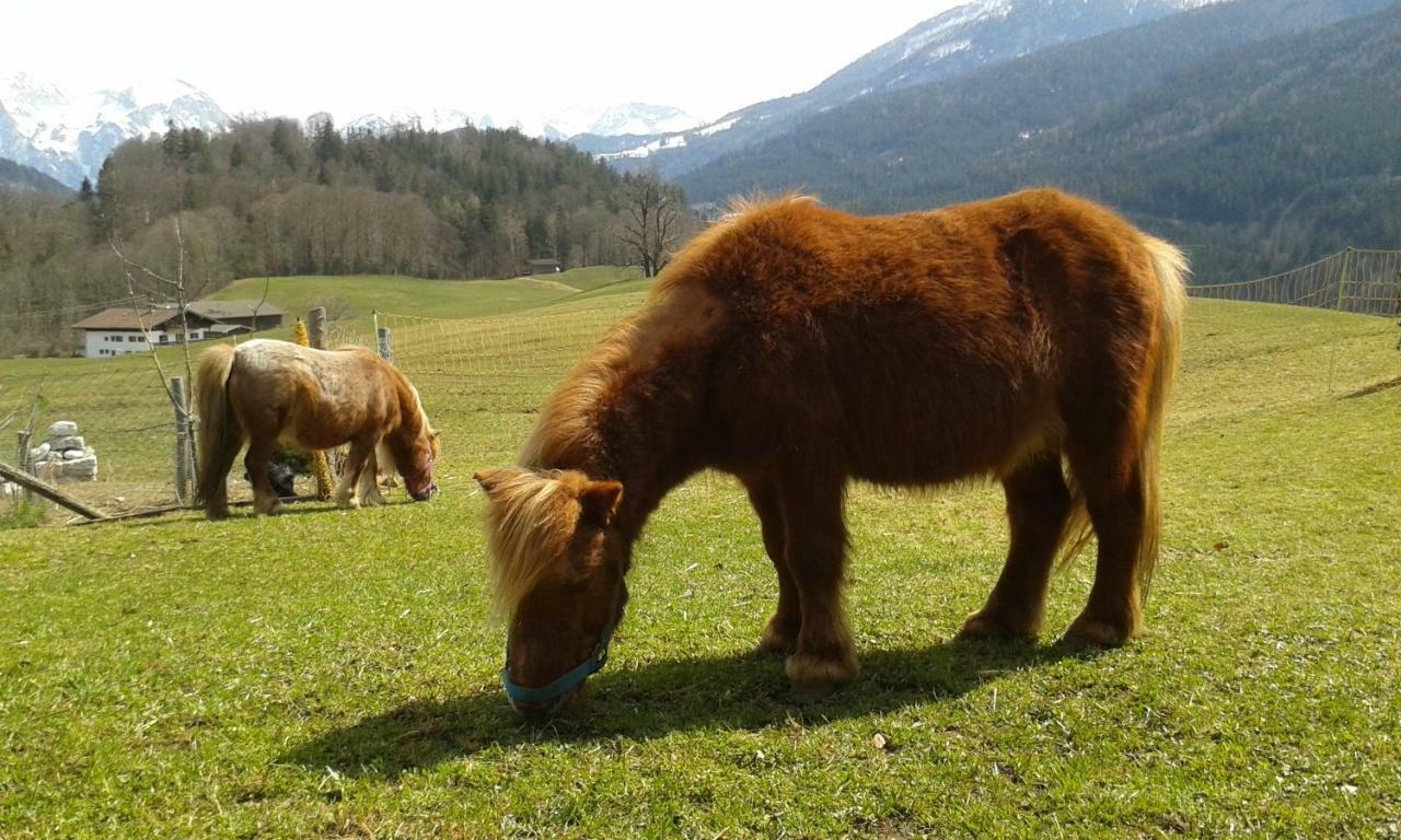 Vorderponholz Ferienwohnungen Ramsau bei Berchtesgaden Bagian luar foto