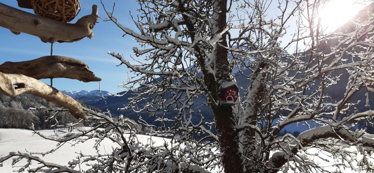 Vorderponholz Ferienwohnungen Ramsau bei Berchtesgaden Bagian luar foto